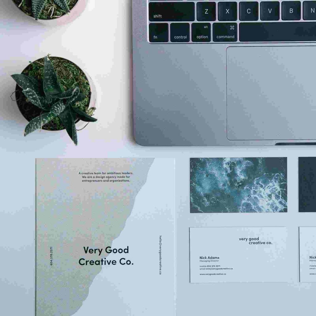 a macbook and a small plant