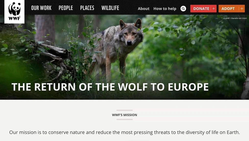 An example of a website using consistent navigation