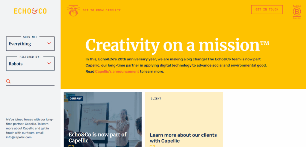 Echo and Co website's homepage