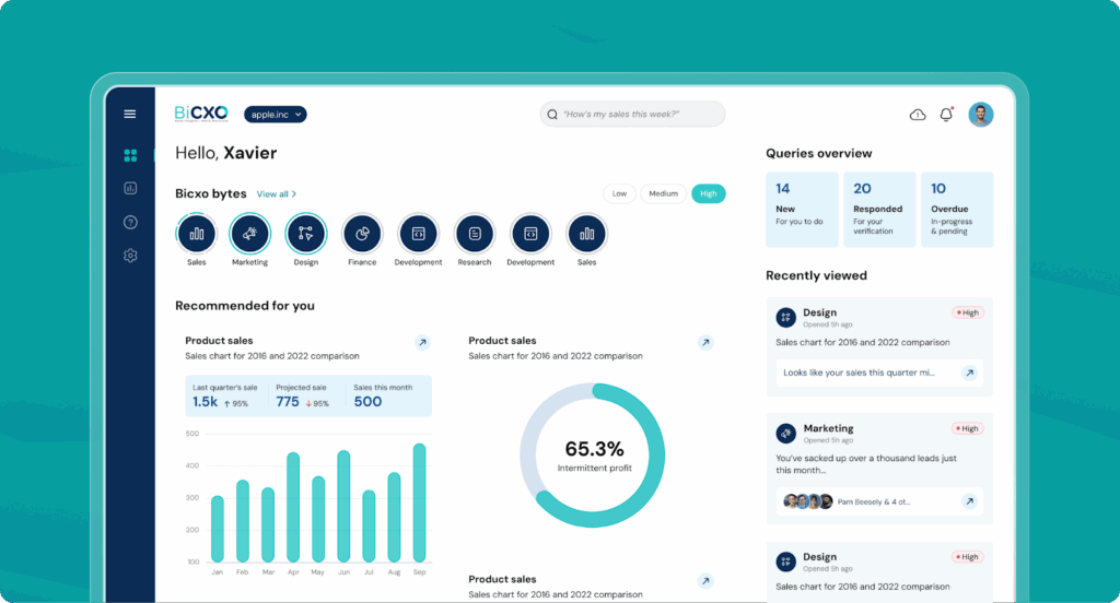 BiCXO dashboard with simplified KPI tracking